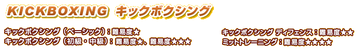 KICKBOXING �L�b�N�{�N�V���O