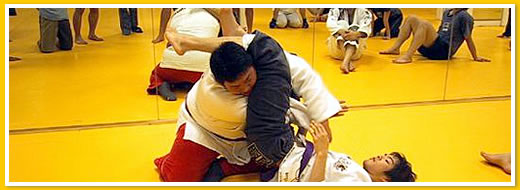 JIU-JITSU MMA�_�p