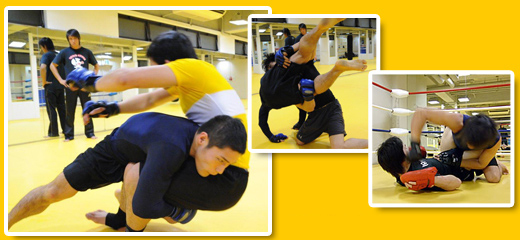 �����i���Z